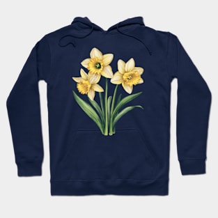 Vintage Daffodil Botanical Watercolor Hoodie